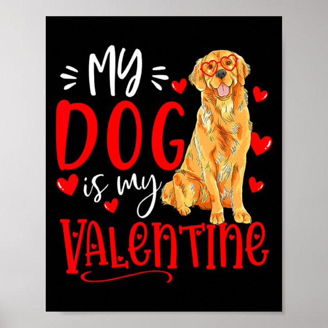 Poster My Dog Is My Valentine Golden Retriever Valentines (Frente)