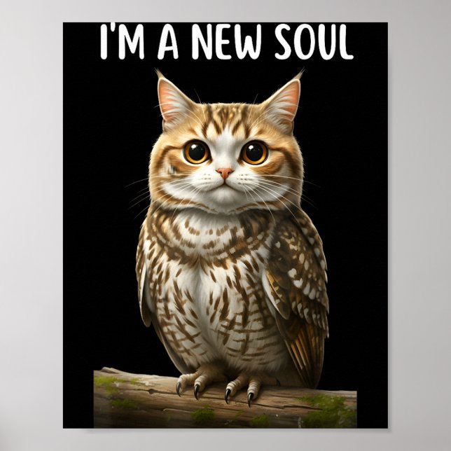 Poster My Srit Animal Funny Meowl, Cursed Cat Owl Brainro (Frente)