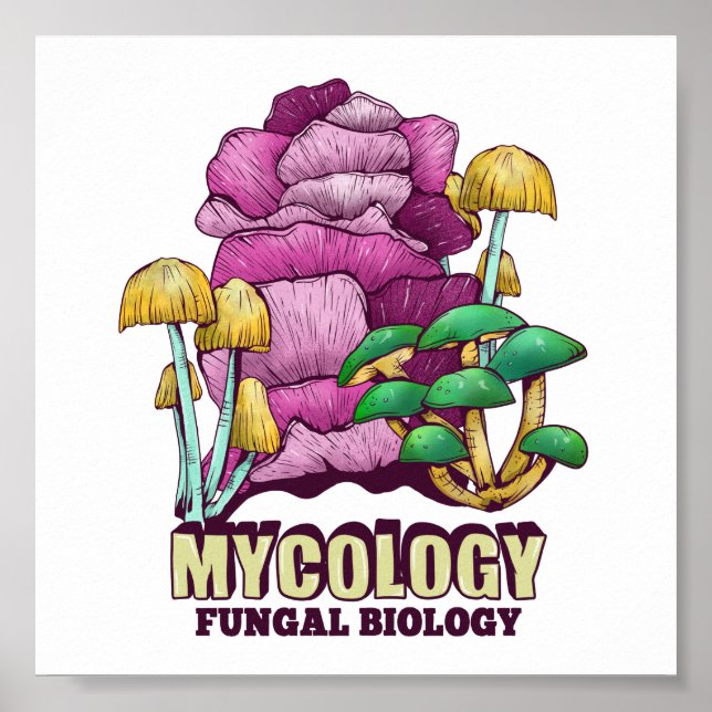 Poster Mycology Fungal Biology (Frente)