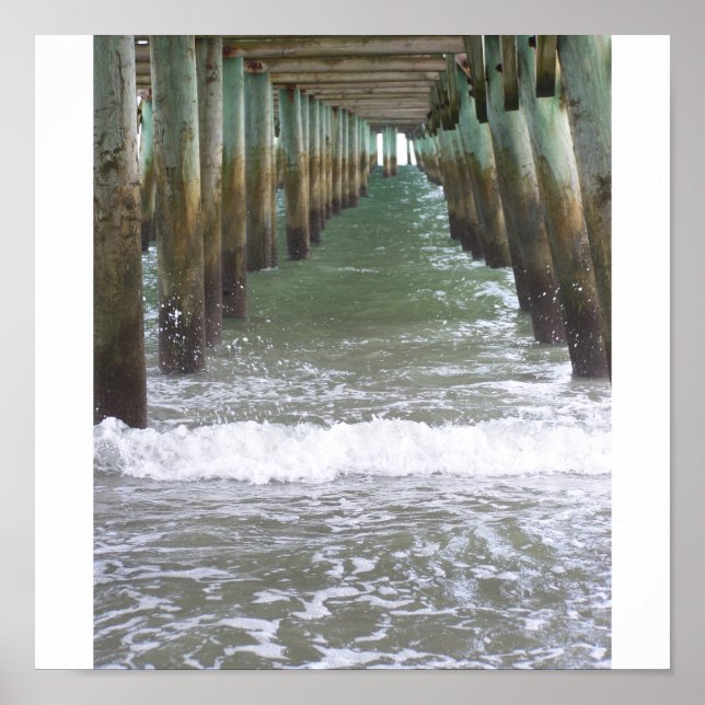 Poster Myrtle Beach 2009 075 (Frente)