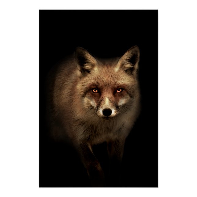 Pôster Mystic Fox (Frente)