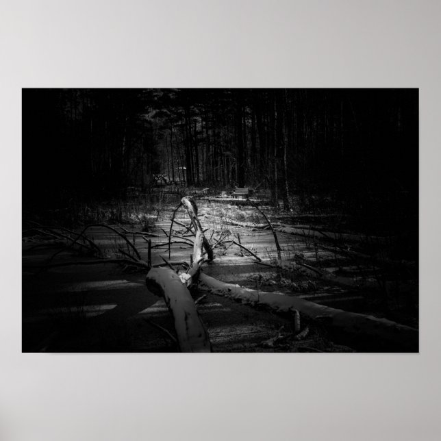 Poster Mystic Night Forest – Moody Nature Landscape (Frente)