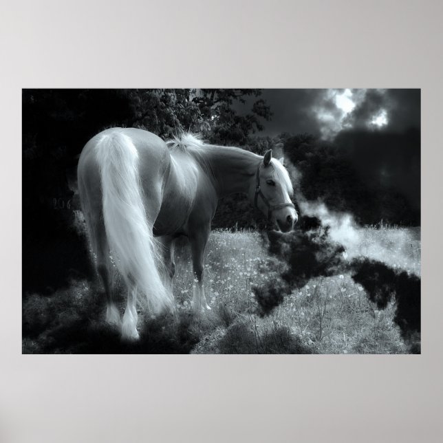 poster mystical night (Frente)