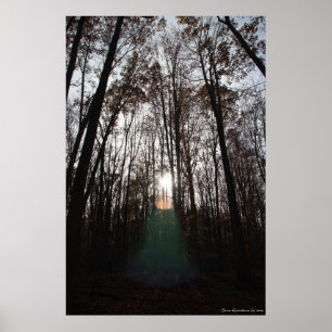 Pôster Mystical Spirit of the Forest Print #015