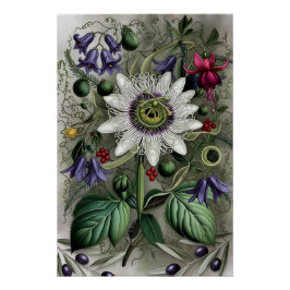 Pôster Mystical Woodland Moth