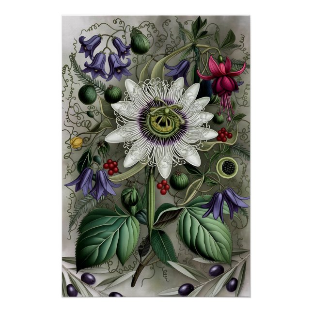 Pôster Mystical Woodland Moth (Frente)