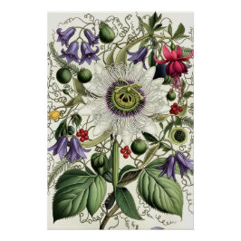 Pôster Mystical Woodland Moth