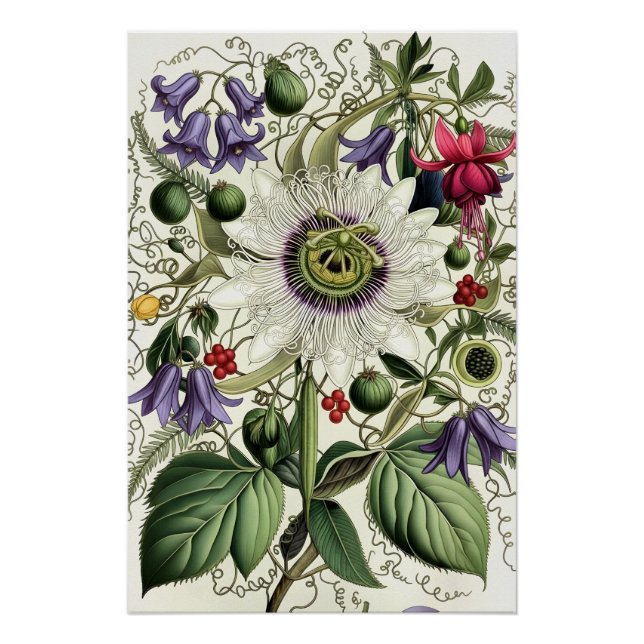 Pôster Mystical Woodland Moth (Frente)