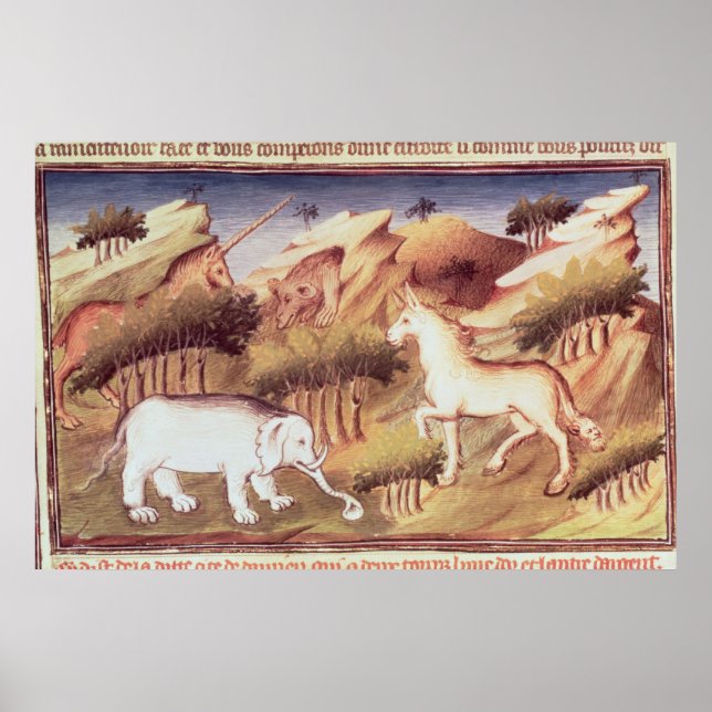 Poster Mythical animals in the wilderness (Frente)