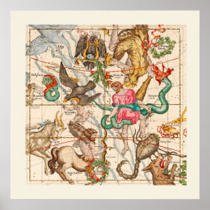 Poster Mythology Medieval Astronomy Vintage espécie