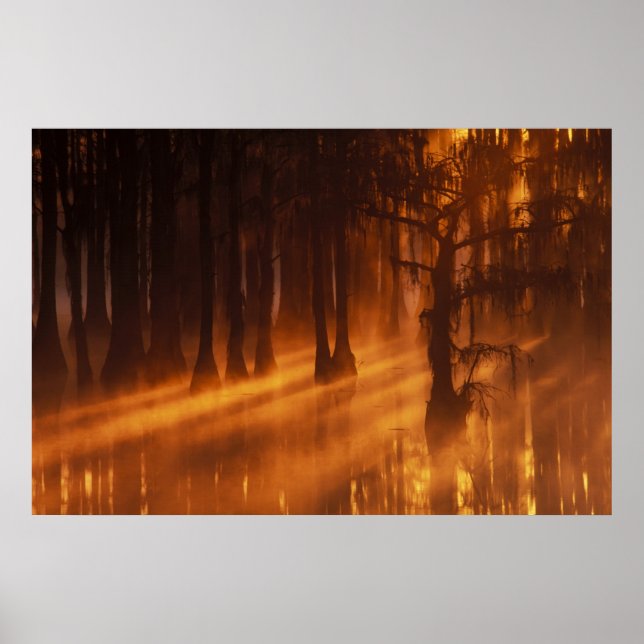 Pôster N.A., EUA, Geórgia, George Smith State Park. (Frente)