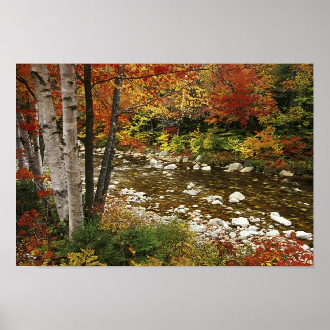 Pôster N.A., EUA, New Hampshire, White Mountain, (Frente)