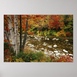 Pôster N.A., EUA, New Hampshire, White Mountains,