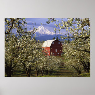 Pôster N.A., EUA, Oregon, Hood River County. Vermelho