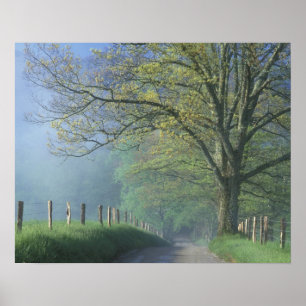 Poster N.A., EUA, Tennessee, Parque Nacional Smokey Mts.,