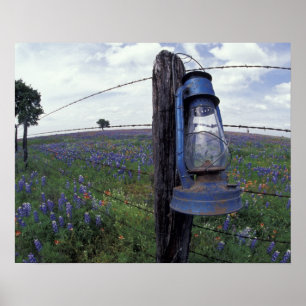 Poster N.A., EUA, Texas, Llano, Lanterna Azul, Carvalho