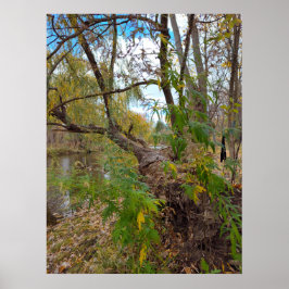 Poster Na ausência de música