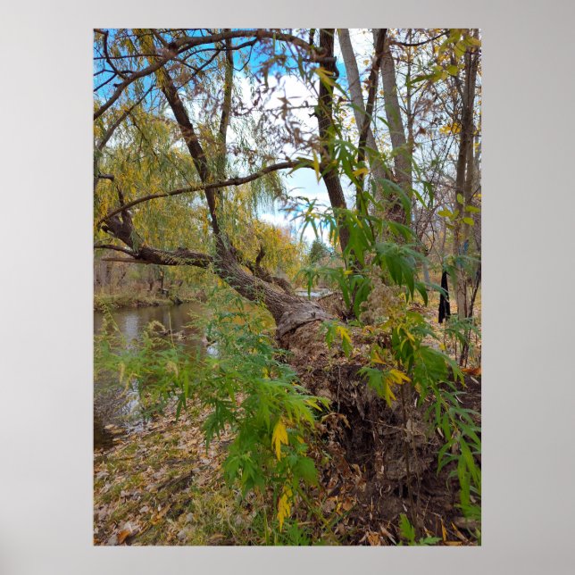 Poster Na ausência de música (Frente)