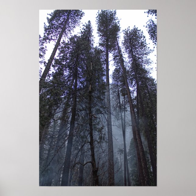 Poster Na Base do Half Dome - Yosemite (Frente)
