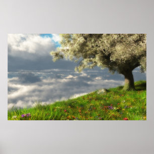 Poster Na borda do mundo (primavera)