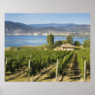 Pôster NA; Canadá; Colúmbia Britânica; Vale de Okanagan;
