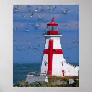 Pôster NA, Canadá, New Brunswick, Ilha Campobello. 8
