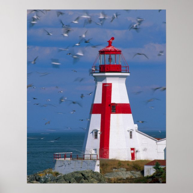 Pôster NA, Canadá, New Brunswick, Ilha Campobello. 8 (Frente)