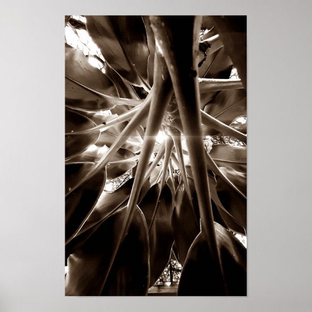 Poster Na direção do sol (Frente)