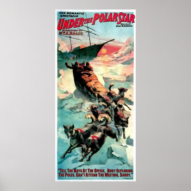 POSTER NA ESTRELA POLAR (Frente)