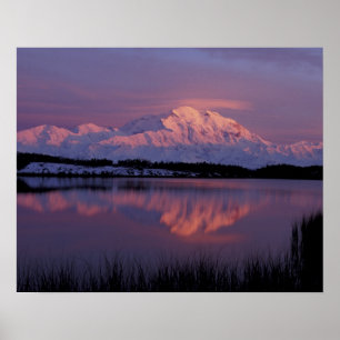 Pôster NA, EUA, Alasca. Parque Nacional Denali. Mt