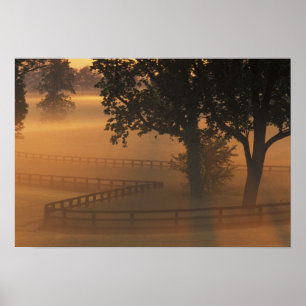 Poster NA, EUA, Kentucky. Nascer do sol enevoado no Kentu