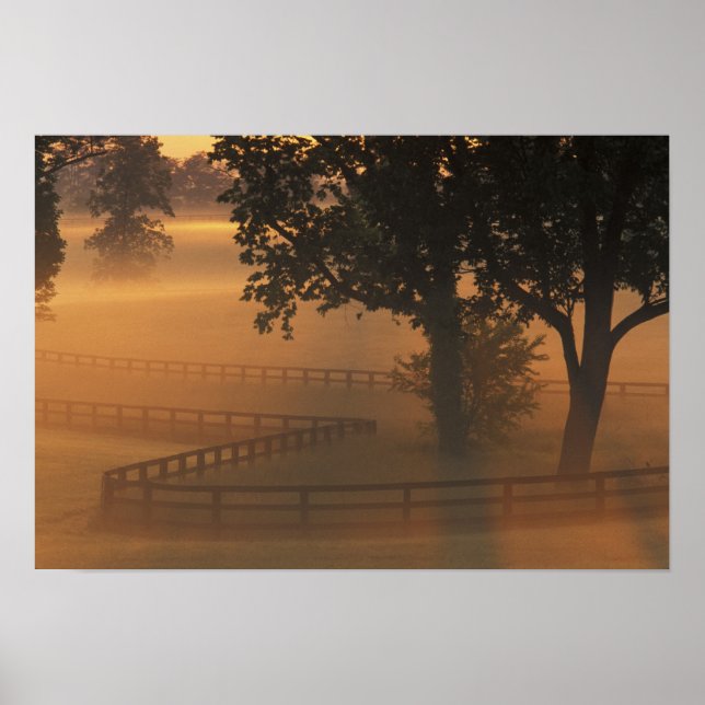 Poster NA, EUA, Kentucky. Nascer do sol enevoado no Kentu (Frente)