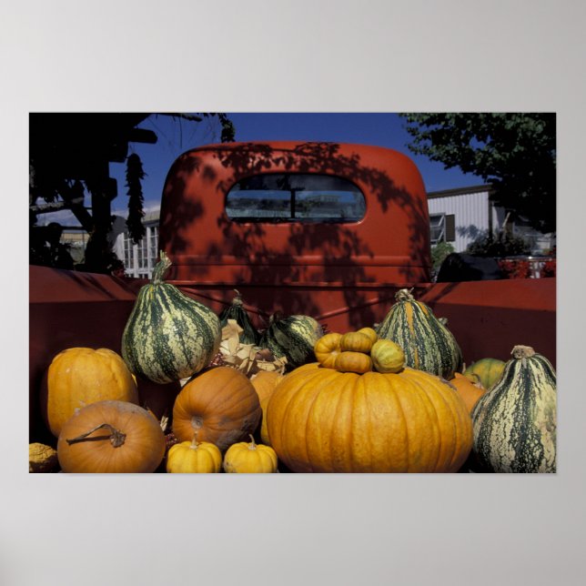 Poster NA, EUA, Novo México, Taos. O Chile fica em pé. (Frente)