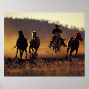 Poster NA, EUA, Oregon, Seneca, Ponderosa Ranch, Cowboy 2
