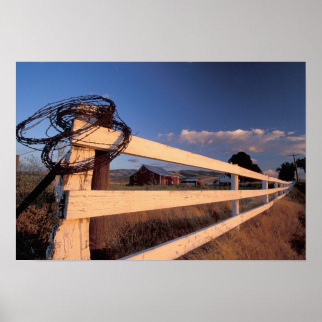 Pôster NA, EUA, Washington, perto de Walla Walla, cerca, (Frente)