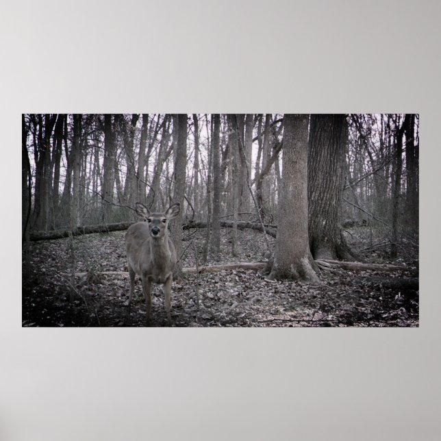 Poster Na Fazenda (Frente)