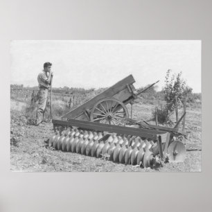 Pôster Na fazenda nos anos 40