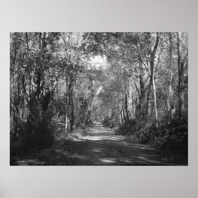 Poster "Na floresta" (Frente)