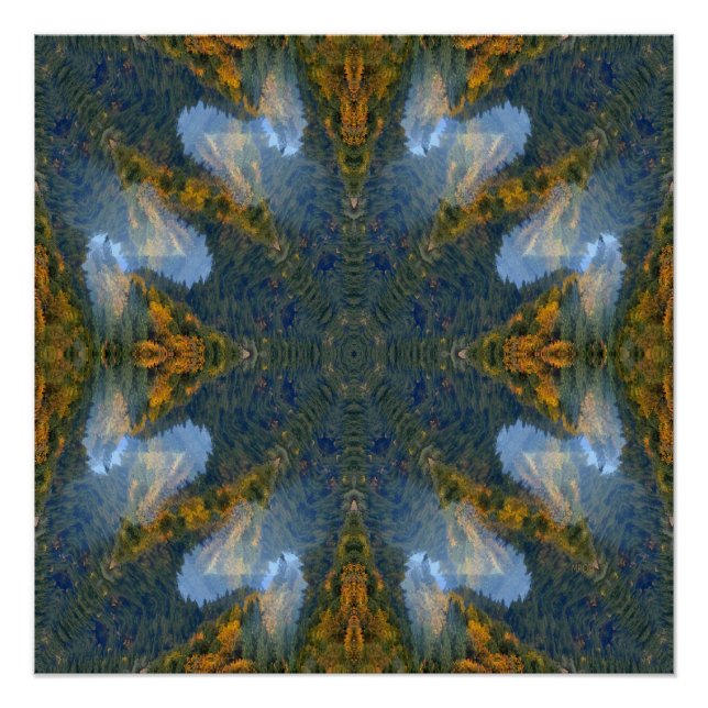 Pôster Na floresta... (Frente)