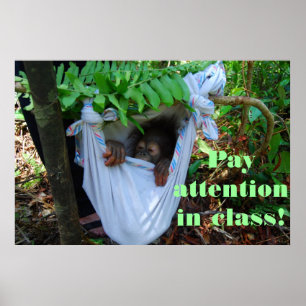 Pôster Na Floresta da Escola Orangutan