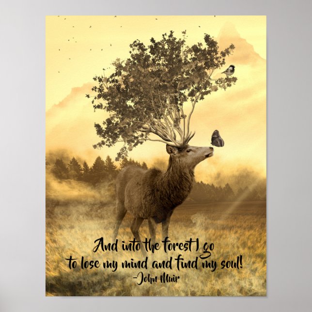 Poster Na Floresta Eu Vou, John Muir Nature Cote (Frente)
