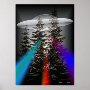POSTER NA FLORESTA - UFO