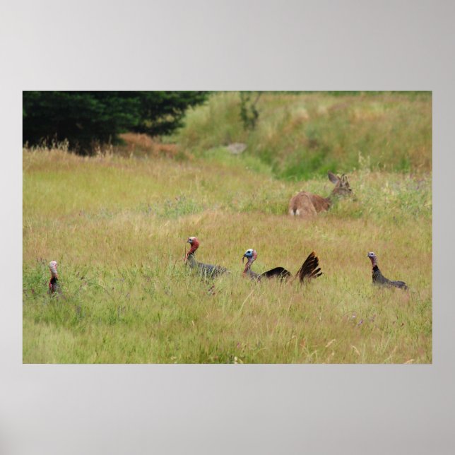 Pôster "Na Patrulha" (Frente)