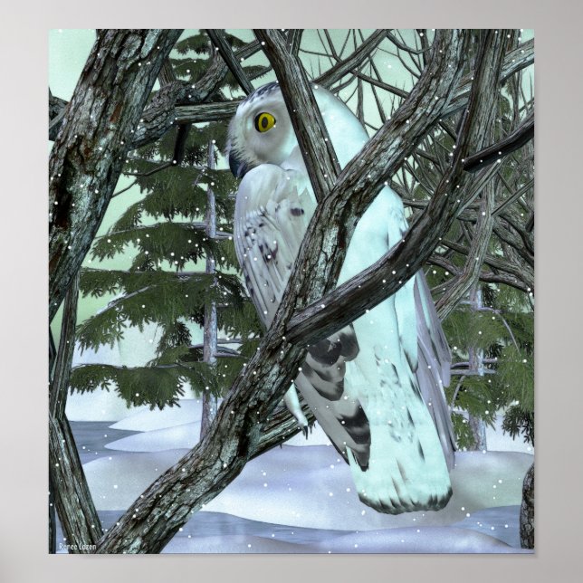 Pôster Na Selvagem Snowy Owl (Frente)