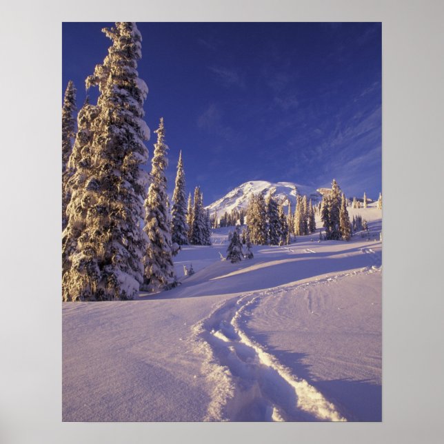 Pôster NA, USA, Washington, Mt. Rainier NP, Snowshoe (Frente)