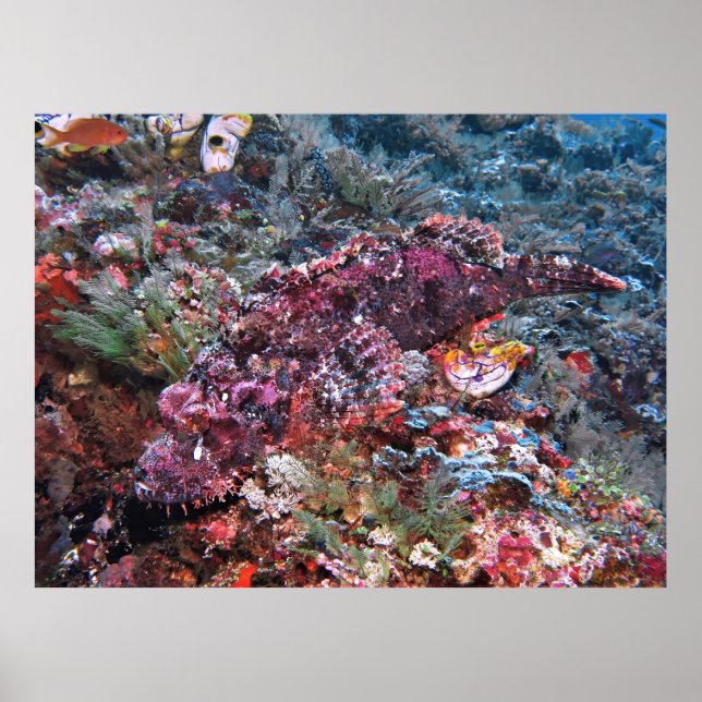 Poster Na Visão Simples (Frente)