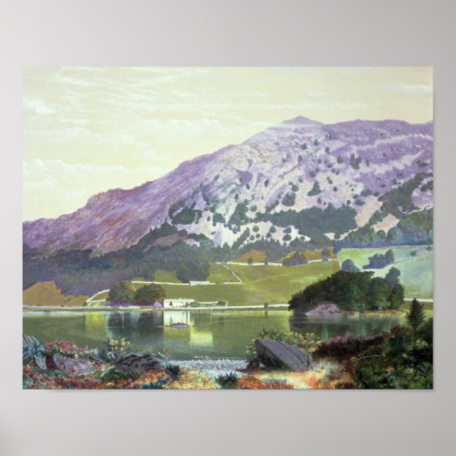 Poster Nab Scar (Frente)