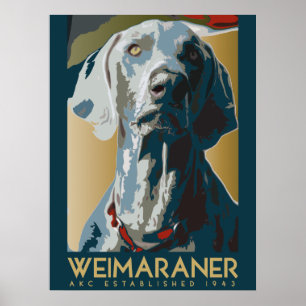Pôster Nação de Weimaraner: AKC Weimaraner