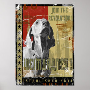 Pôster Nação de Weimaraner: Vintage Weimaraner!
