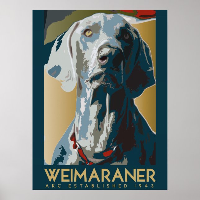 Pôster Nação Weimaraner : AKC Weimaraner (Frente)